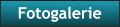 Fotogalerie Fotogalerie